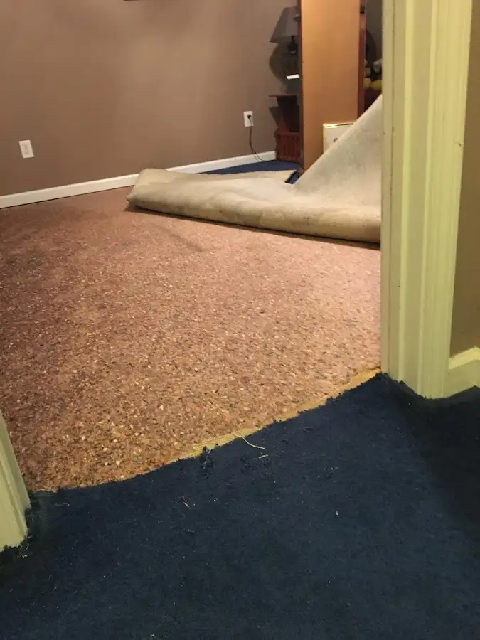 Carpet pad removal revealing water damage during Water Mitigation Services in Daytona Beach
