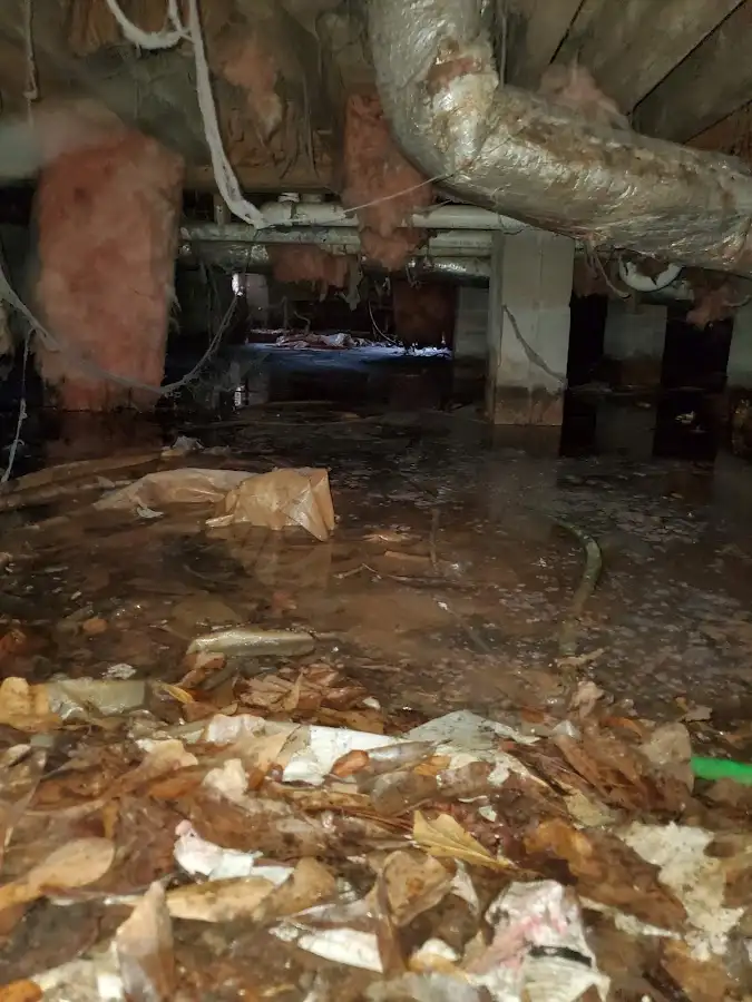 Crawl space flood assessment for Leak Detection & Repair in Daytona Beach